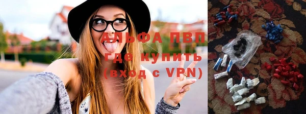 СК Белокуриха