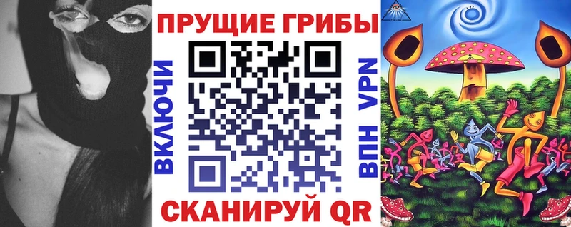 kraken tor  Дигора  Псилоцибиновые грибы прущие грибы 